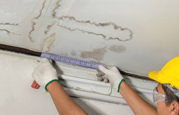 Reliable Water Damage contractor in Arlington, VA by Water Damage Irwin